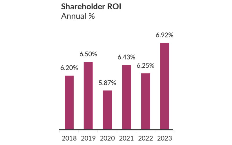 shareholder-roi-annual-percentage-magenta