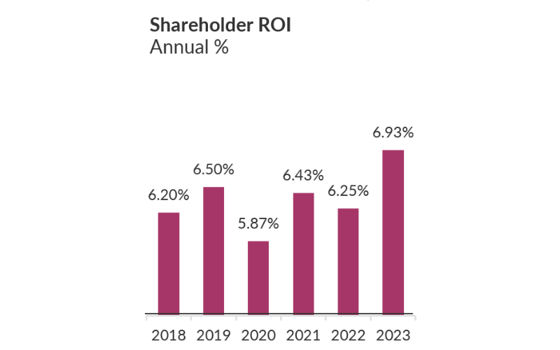 shareholder-roi-annual-percentage-magenta